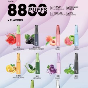 CHILL 拋棄式8800口｜8ml大容量-D