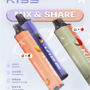 凱斯KISS 6500口拋棄式 正品現貨-A/B